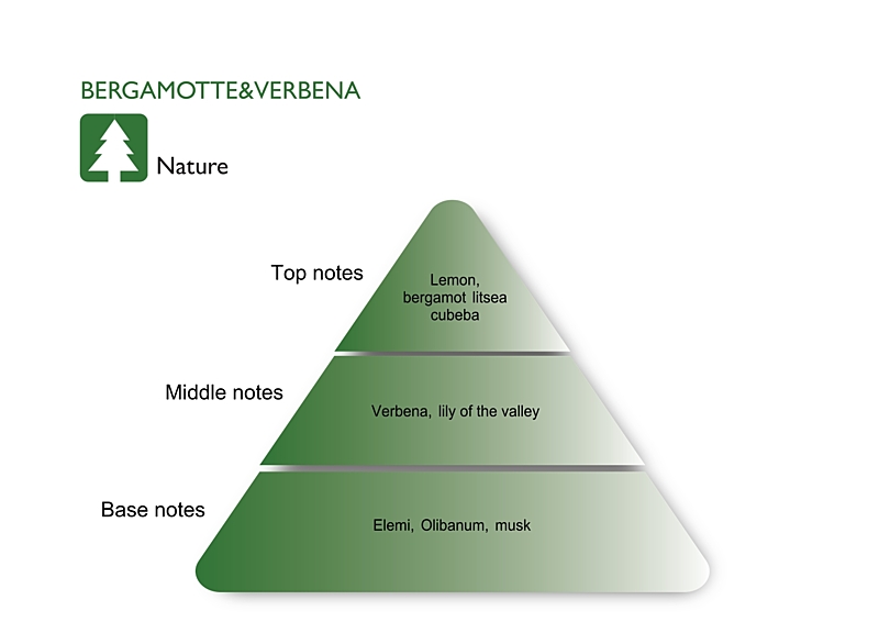 BERGAMOTTE & VERBENA