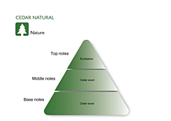 CEDAR NATURAL