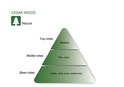 CEDAR WOOD