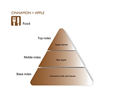 CINNAMON & APPLE