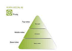 RUBIN SPECIAL 80