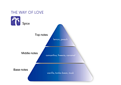 THE WAY OF LOVE