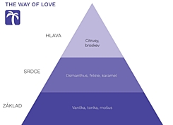 THE WAY OF LOVE